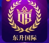 东升国际